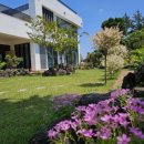 제주하와이 덕수궁 이미지