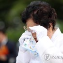 가족에게주는김 이미지