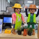 황금이식물원 | 2603 마곡 서울식물원