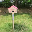 연수구청분수대 이미지