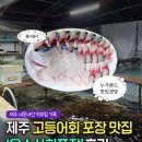 용수산 | 제주 동쪽 고등어회 포장 추천! 가성비 좋은 용수산회포장 내돈내산 후기