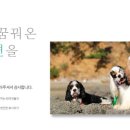 올이유 펜션 이미지