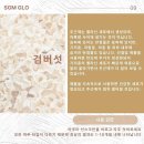 인셀덤 솔 - 부천시 원미구 | 인셀덤 솔