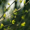 연세문상영의원 이미지