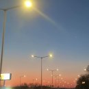 부여농약마트 | 시호일기 (feat.TRAVELING IN JEJU/ LA SEINE DINNER AT LOTTE HOTEL JEJU- 라세느 디너 / 감귤따기...