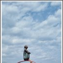 부항초교 이미지