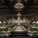 웨스턴베니비스 이미지