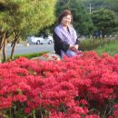 영덕상회 이미지