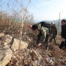 야생생물관리협회 강화지회 이미지