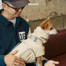 강아지 패딩 추천 겨울 산책 옷 멀로 아인푸퍼4