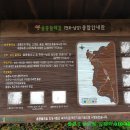 국화길 Daum카페