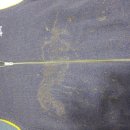 순천세탁소 이미지