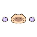 세움소카페 이미지