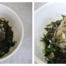 본동물회 이미지