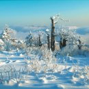 태백산목장 이미지