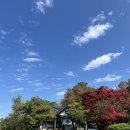 내천경로식당 | [충청북도 제천] 금성제면소, 커피라끄, 청풍호반 오토캠핑장 가을나들이 명소 추천