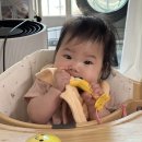 앙쥬 - 의정부시 오목로 196 | 치발기 추천 이앓이 방지템 바나나치발기 앙쥬 치발기 후기