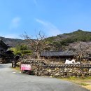 곡성-222 티스토리