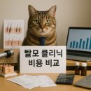 강남카클리닉 | 2025년 탈모 클리닉 비용 비교 총정리