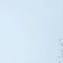 덕현칼국수 이미지