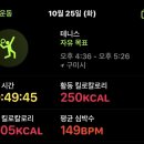 빵독 반려미용실 이미지