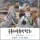 공룡장터 | 공룡파충류박람회 마곡 코엑스 솔직 후기｜돈 아까웠던 비추 이유