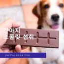 초콜릿종합동물병원 이미지