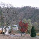 스테이 원평호 이미지