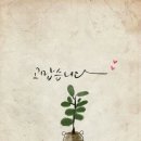 오생단 - 경산시 | 오생단