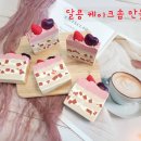 셀리나솝공방