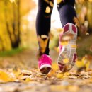 몬스터헬스 이미지