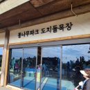 매안농장 | [제주 도치돌 알파카 목장] 알파카의 두얼굴 심쿵웃픔주의