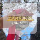 연분홍민박 | 제33회 경주벚꽃마라톤 10k 우중런 후기