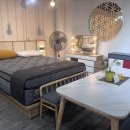 파라시오갤러리 이미지