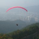 임미경