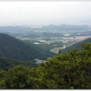 솔밭정 이미지