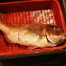 사촌상회 이미지