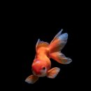 한국폴리텍 VII 대학 울산캠퍼스 이미지