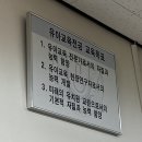 뇌 속에 자릴 잡은 천사야