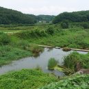 성지천 이미지