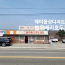 서산 블루베리호두과자 해미읍성 디저트 맛집 방문 후기