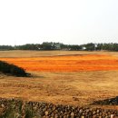 신천목장 이미지