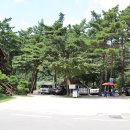 솔방울캠핑장 이미지