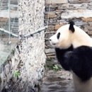 벌떡 이미지