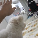 무한뽑기 이미지