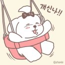 개신나 이미지