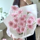 땡스플라워데이