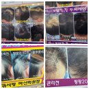 회원남로1-1