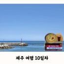 바띠에 | 제주 여행 10일차 | 혼바띠국수, 렌트카 사고 수습, 용담포구, 서울로...
