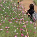 코스모스맨션 앞 이미지